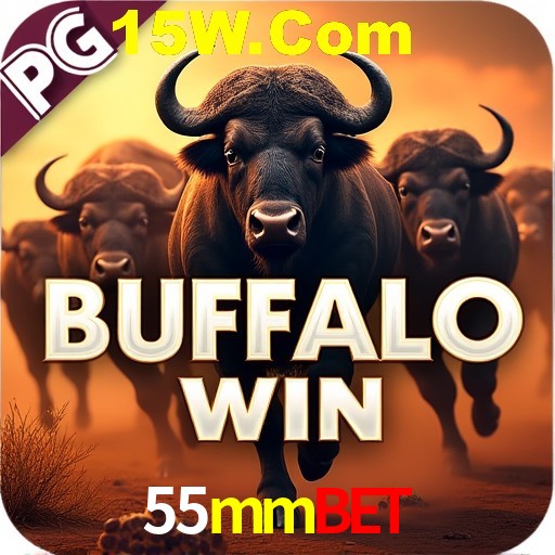 Account Benefits 55mmbet
