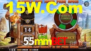 Premium Interface 55mmbet